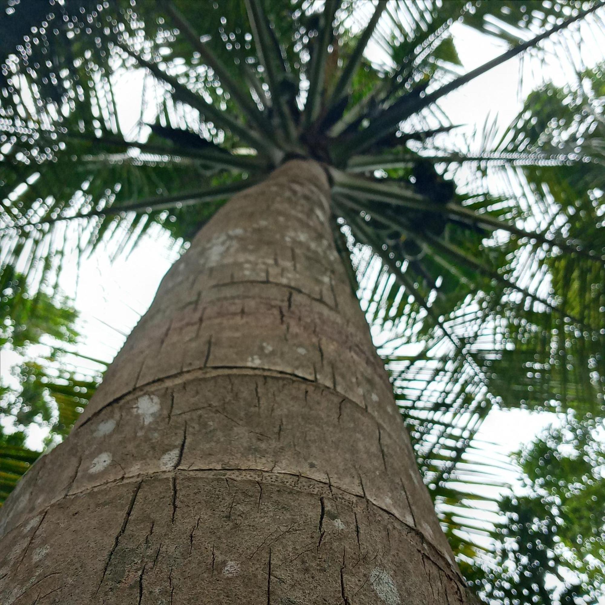 Cinnabar Resort Tangalle Exterior foto