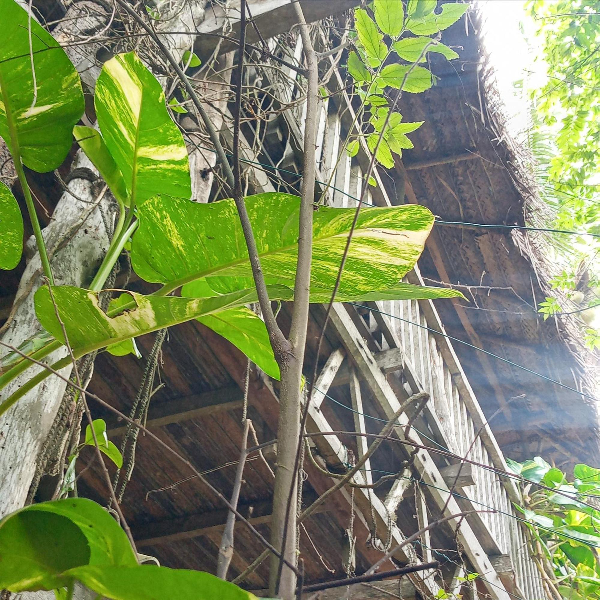 Cinnabar Resort Tangalle Exterior foto