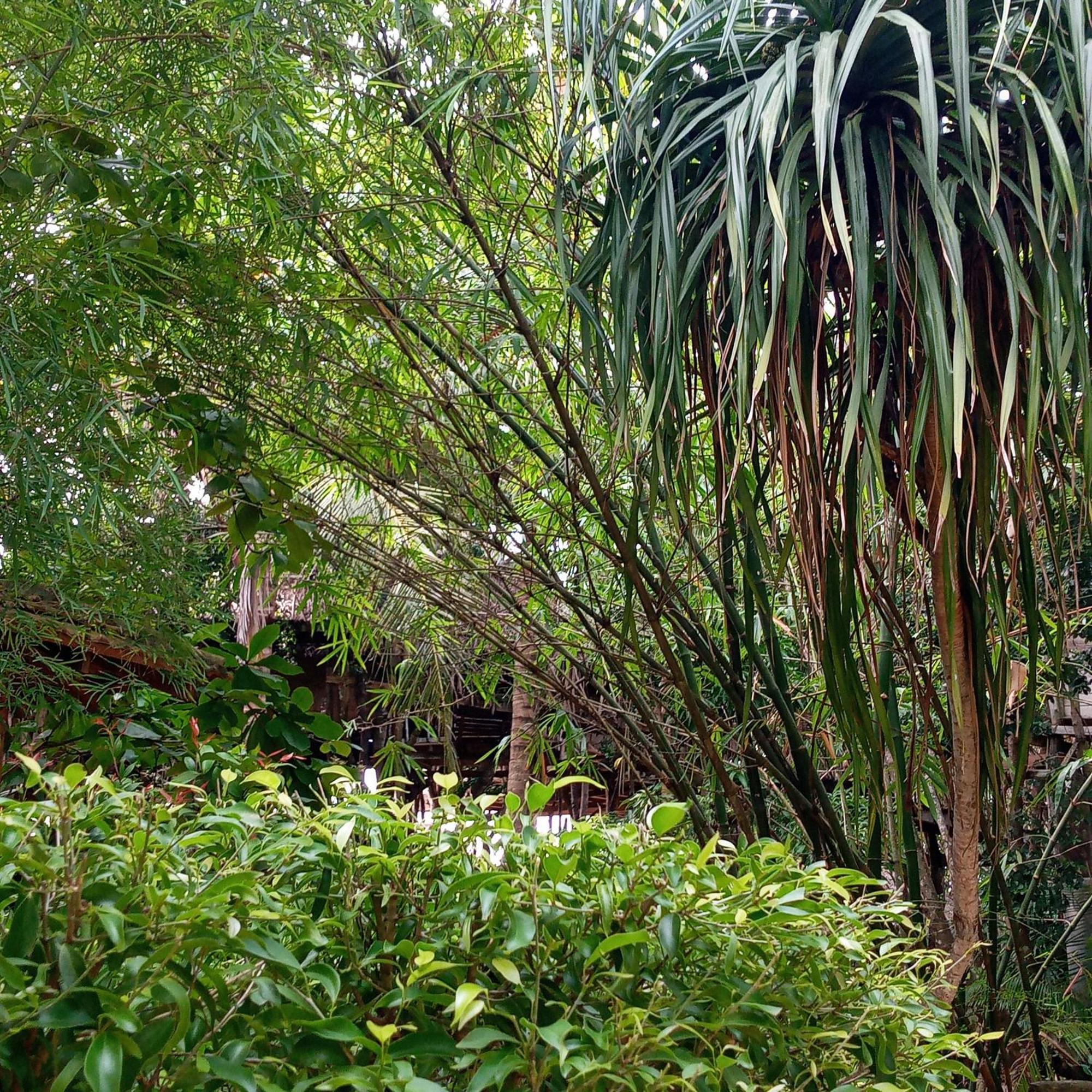 Cinnabar Resort Tangalle Exterior foto